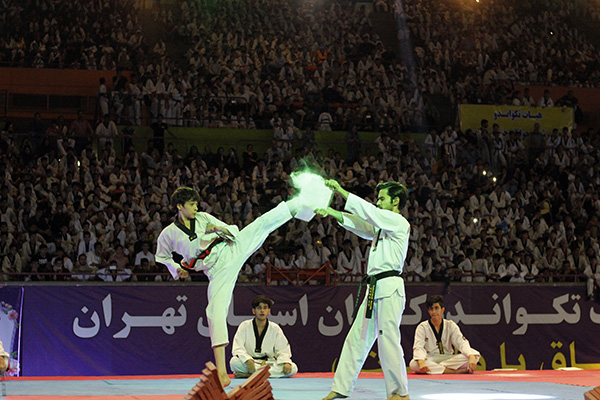 taekwondo day 2019 - IRAN FED TKD (22)